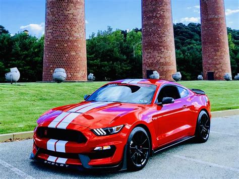 Race Red 2018 Shelby Gt350 Ford Mustang Car Ford Mustang Shelby
