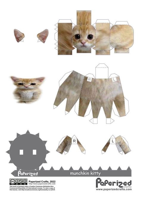 El Gato Meme °~🍂 Paper Doll Template Cat Template Anime Crafts