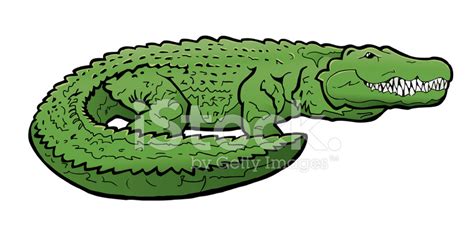 Alligator Vector Illustration Stock Photo Royalty Free Freeimages
