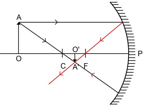 Draw A Ray Diagram To Show The Formation Of Image By A Knowledgeboat