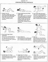 Lower Back Exercises Photos
