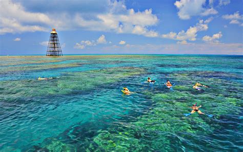 Key West Morning Snorkeling Tour Sebago Watersports Key West Key West Vacations Key West
