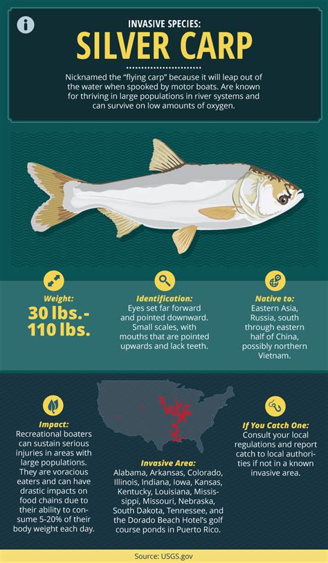 Guide To Invasive Fish Species