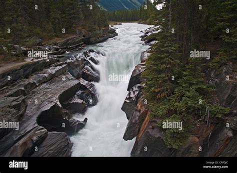 Numa Falls Vermillion River Kootenay National Park British Columbia