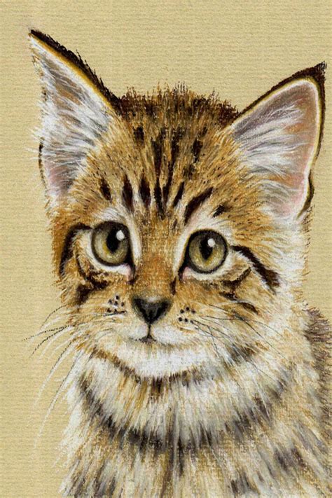 Realistic detailed custom portrait drawing of people pets. 40 Speaking Colored Pencil Drawings | Pastel pencils, Kitten drawing, Animal drawings