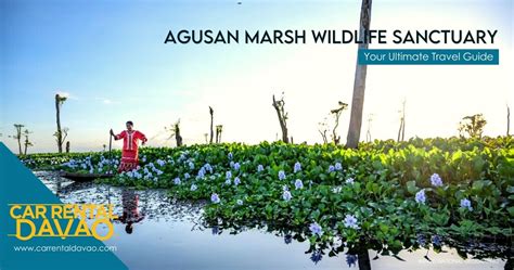 Into The Vast Wetland Of Agusan Marsh Wildlife Sanctuary