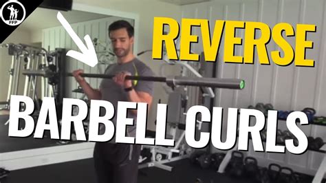 How To Do Reverse Curls With A Barbell Big Forearm Exercises Youtube