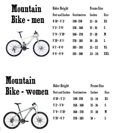 Specialized Size Chart Road Bike