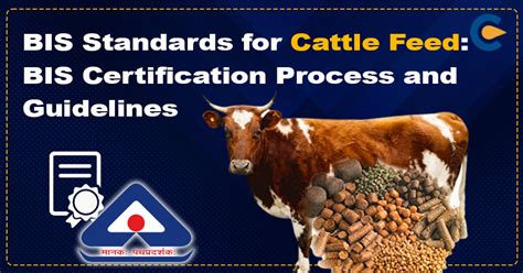 Bis Standards For Cattle Feed Bis Certification Process And Guidelines