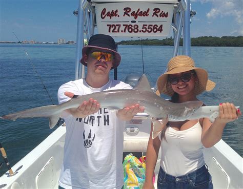 Shark Fishing Tampa Bay Inshore 1 Tampa Bay Fishing Charter