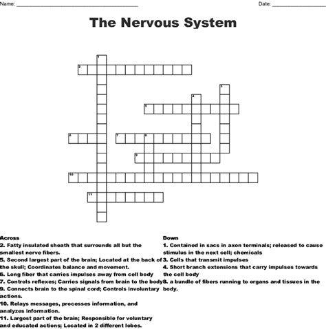 The somatic, or voluntary, component; Nervous System Review