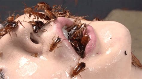 Insect Pussy Torture Cumception