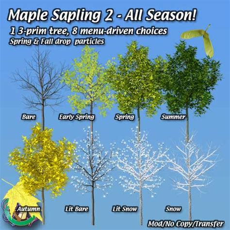 Maple Saplings Landscaping For Second Life © Robin