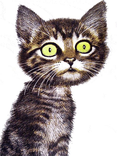 Funny Cat Clipart Images