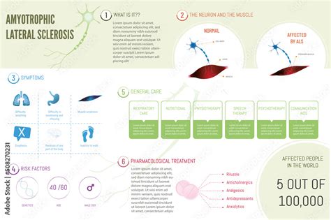 Infographic About Amyotrophic Lateral Sclerosis Symptoms Risk Factors