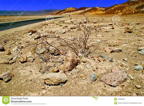 Lifeless Landscape Stock Photo Image Of Dunes Climate 10592992