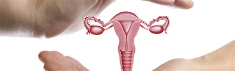 insuffisance ovarienne définition symptômes et traitement