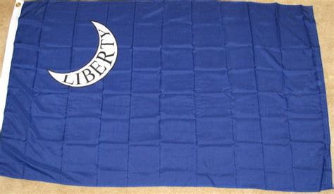 3x5 Fort Moultrie Flag Revolutionary War Banner Liberty Pennant New