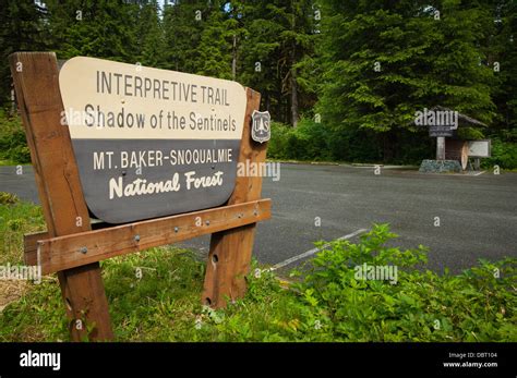 Shadow Of The Sentinels Interpretive Trail Baker Lake Mount Baker