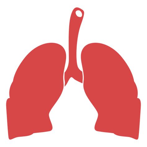 Pulmones Humanos Silueta Roja Descargar Pngsvg Transparente Images My