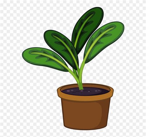 Potted Plant Clipart Free Michael Arntz