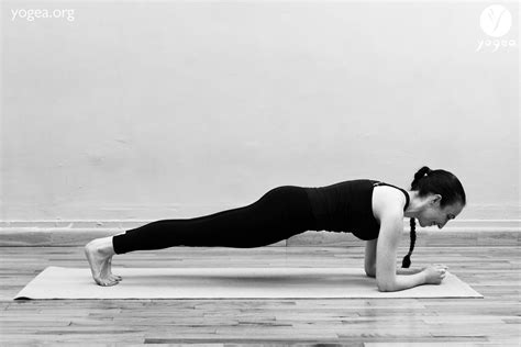 Palakasana Elbow Plank Pose Yogea Yoga Outside Of The Box Plank