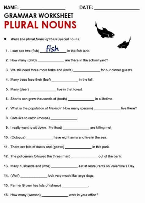 Plural & Singular Nouns - All Things Grammar