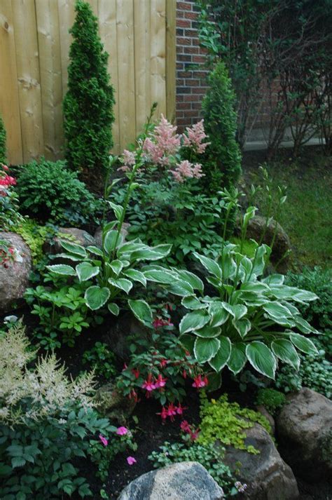 It blooms in late spring until autumn and is particularly suited to dry shade. Shade Garden Plants ~ Astilbes, Hostas, Fuchsias - Gardening For You | Shade garden design ...