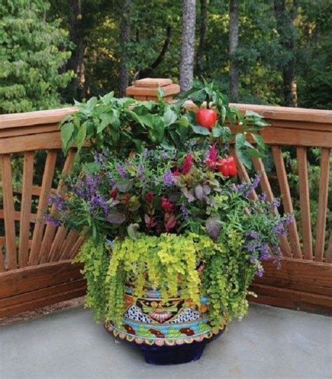 30 Incredible Plant Combination Ideas For Fall Winter And Summer