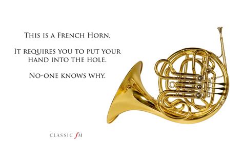 French Horn Musical Instruments Explained A Beginners