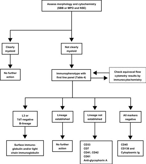 Flow Chart For The Diagnosis Of Acute Leukemia Note Reproduced From