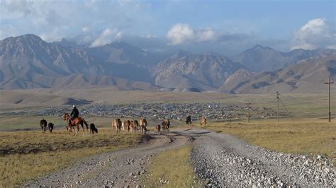 To Adapt To A Changing Climate Kyrgyzstan Revives Its Nomadic Past