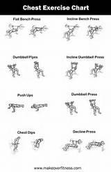 Chest Exercise Routine