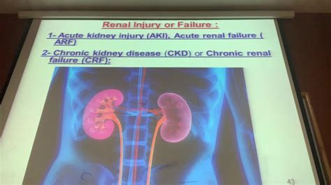 Signs Of Renal Failure In Elderly Acute Kidney Failure Symptoms And