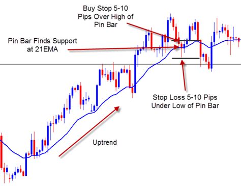 Pin Bar With Moving Average Forex Strategies Forex Resources