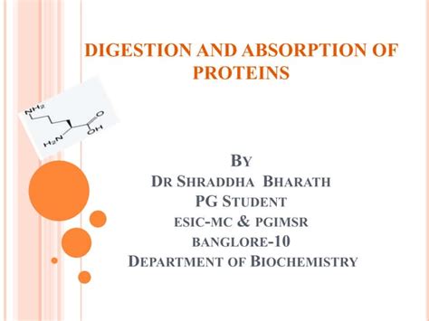 digestion and absorption of proteins ppt