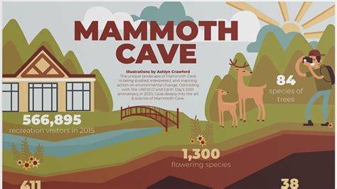 Ashlyn Crawford Mammoth Cave Infographic