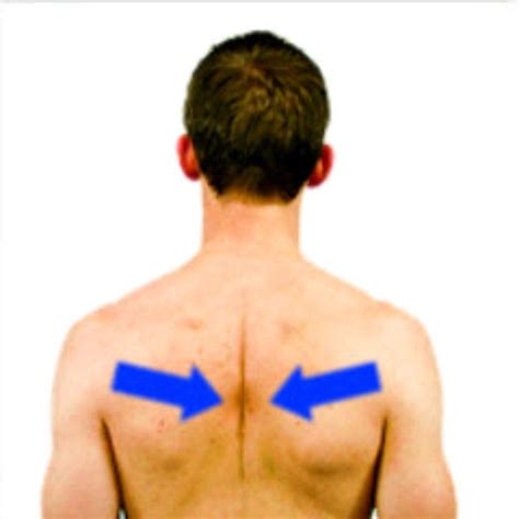 Scapular Retractions By Kelly Tudor Exercise How To Skimble