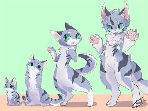 Pin By Draeyk Evernight On Monster Anime Furry Cat Furry Furry Drawing