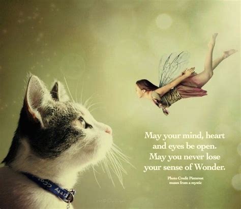 Pin By Muses From A Mystic On Muses From A Mystic Animals Cats Magical