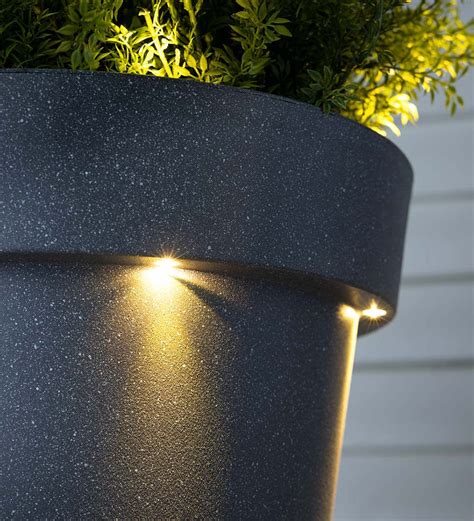 Illuminated Solar Light Led Planter The Green Head