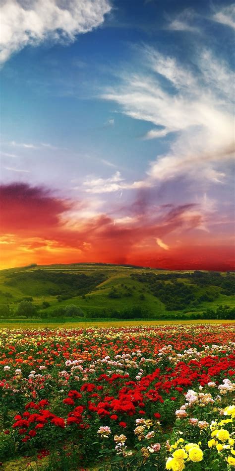 Beautiful Scenery Of Scenic Nature Wallpaper Download Mobcup
