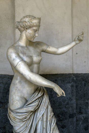 Cochiloco Tucum N Deusa Afrodite Greek Mythology