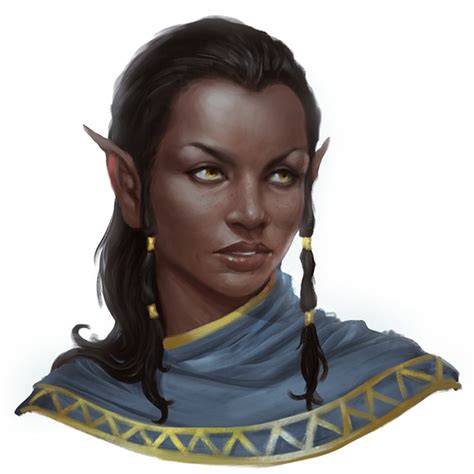 Pxelslayer Character Portraits Fantasy Characters Character Art