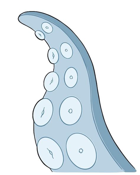 Tentáculo com ventosas órgão de um polvo ou criatura marinha invertebrada doodle cartoon linear