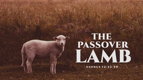 The Passover Lamb Exodus 1243 50 Ptr Marvin Gibson Jr Youtube