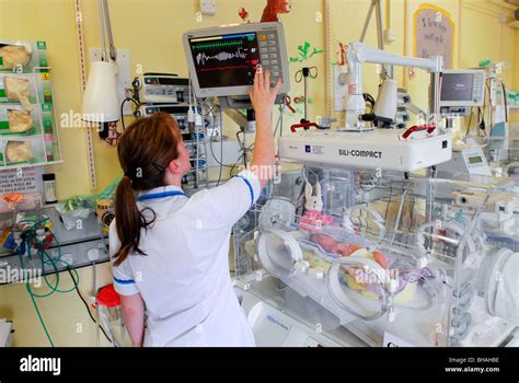 Neonatal Intensive Care Unit Nicu Stock Photo Royalty Free Image