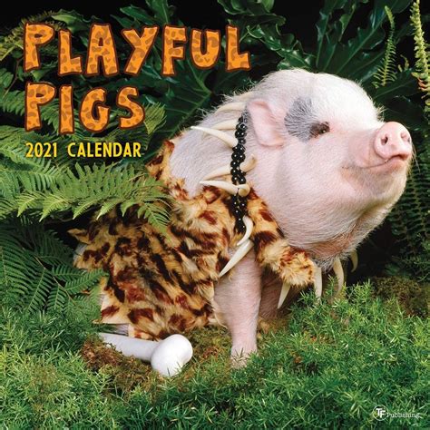 2021 Playful Pigs 12x12 Inch Wall Calendar