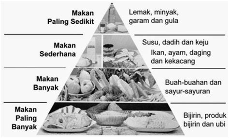 Zat makanan disebut juga biomolekul karena merupakan senyawa atau molekul kimia yang dibutuhkan untuk dapat hidup dengan baik (bio = hidup. My Note Blog: PIRAMID MAKANAN