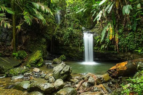 El Yunque Top Things To Do In Puerto Rico By Chewstoexplore Listium